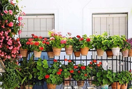 trang tri noi taht 4