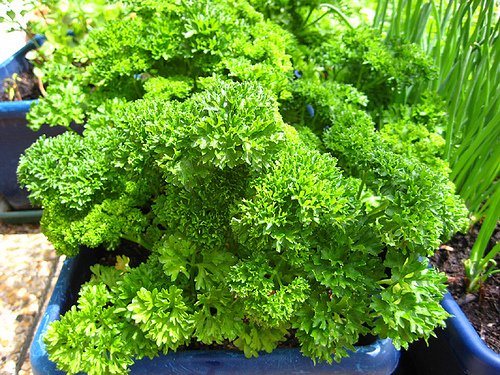 trang tri noi that 4