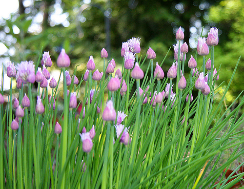 trang tri noi that 5