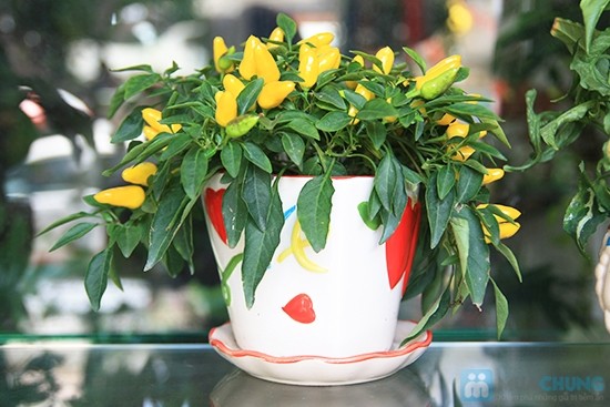 trang tri noi that 7